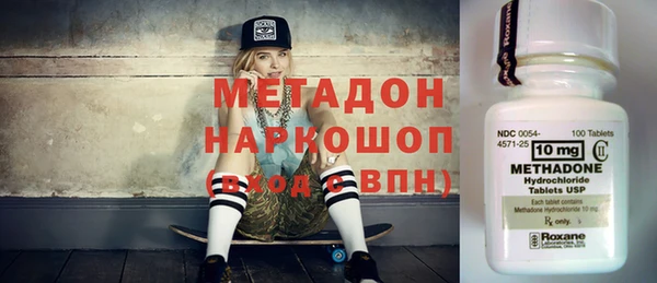 прущие грибы Алзамай