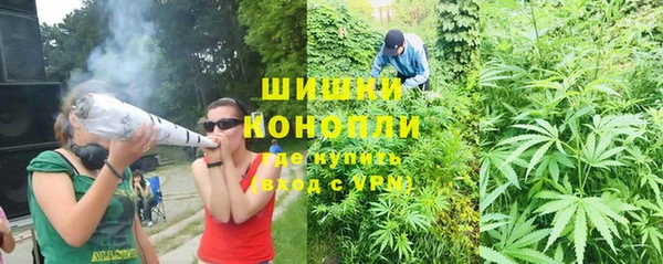 молекула духа Алексин