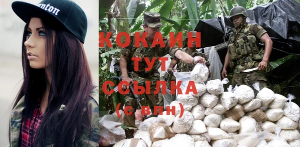 шишки Арсеньев