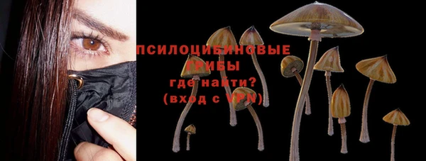метадон Аркадак