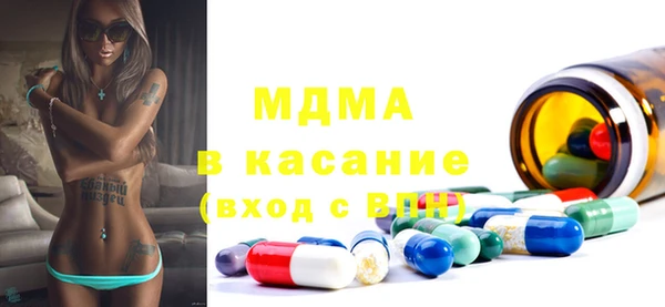 шишки Арсеньев