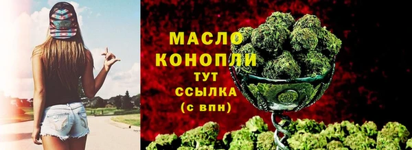 шишки Арсеньев